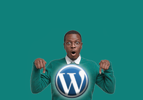 Formation WordPress pour debutant, maitrisez WordPress rapidement